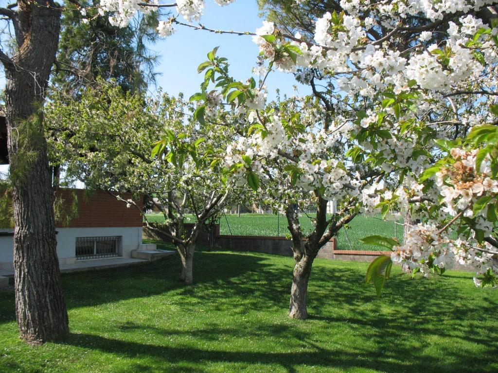 Bed & Breakfast Bompadre Civitanova Marche Kültér fotó