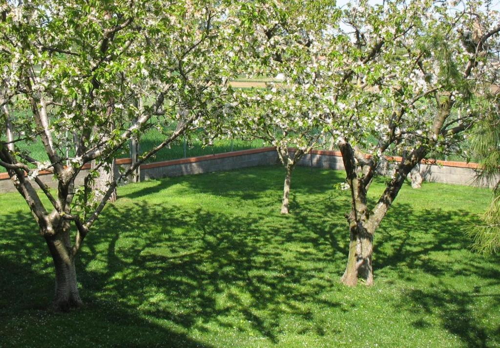 Bed & Breakfast Bompadre Civitanova Marche Kültér fotó